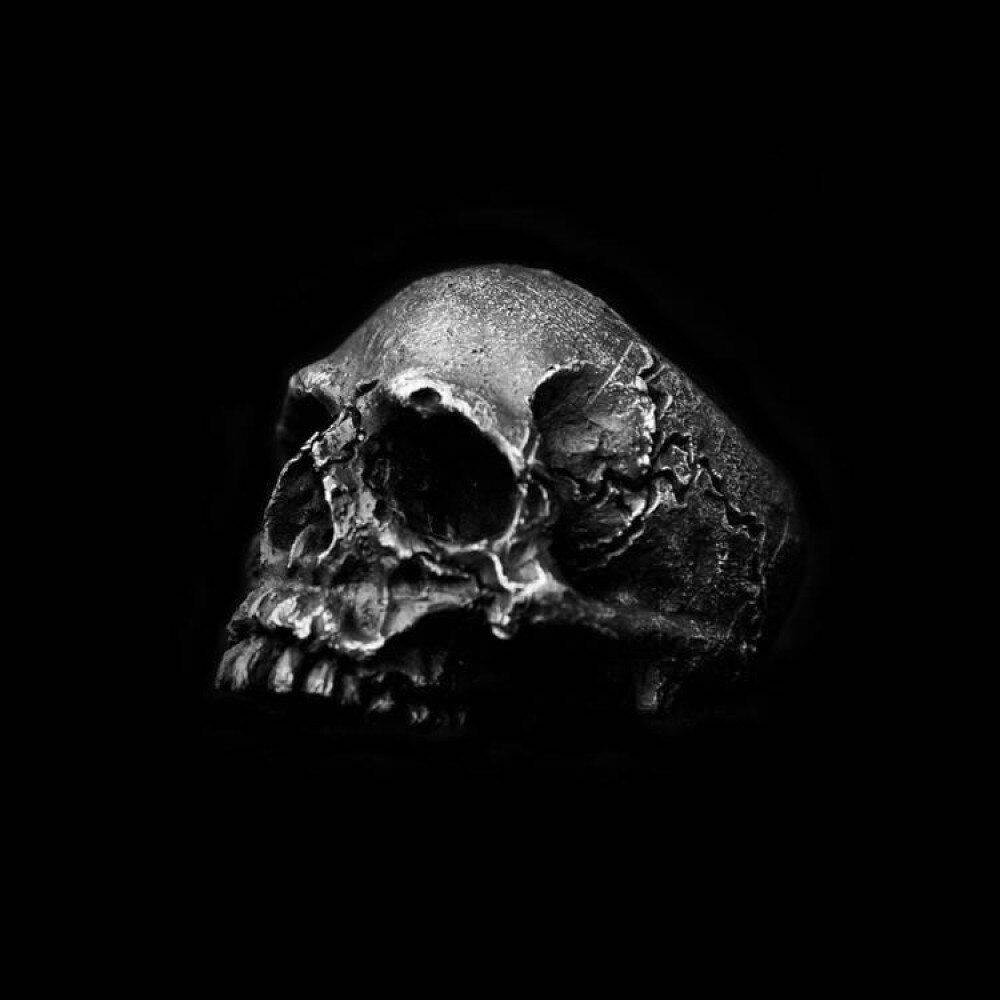 Mens-Boys-Vintage-316L-Stainless-Steel-Rugged-Skull-Rings-Fashion-Punk-Party-Biker-Jewelry Mens Boys Vintage 316L Stainless Steel Rugged Skull Rings Fashion Punk Party Biker Jewelry